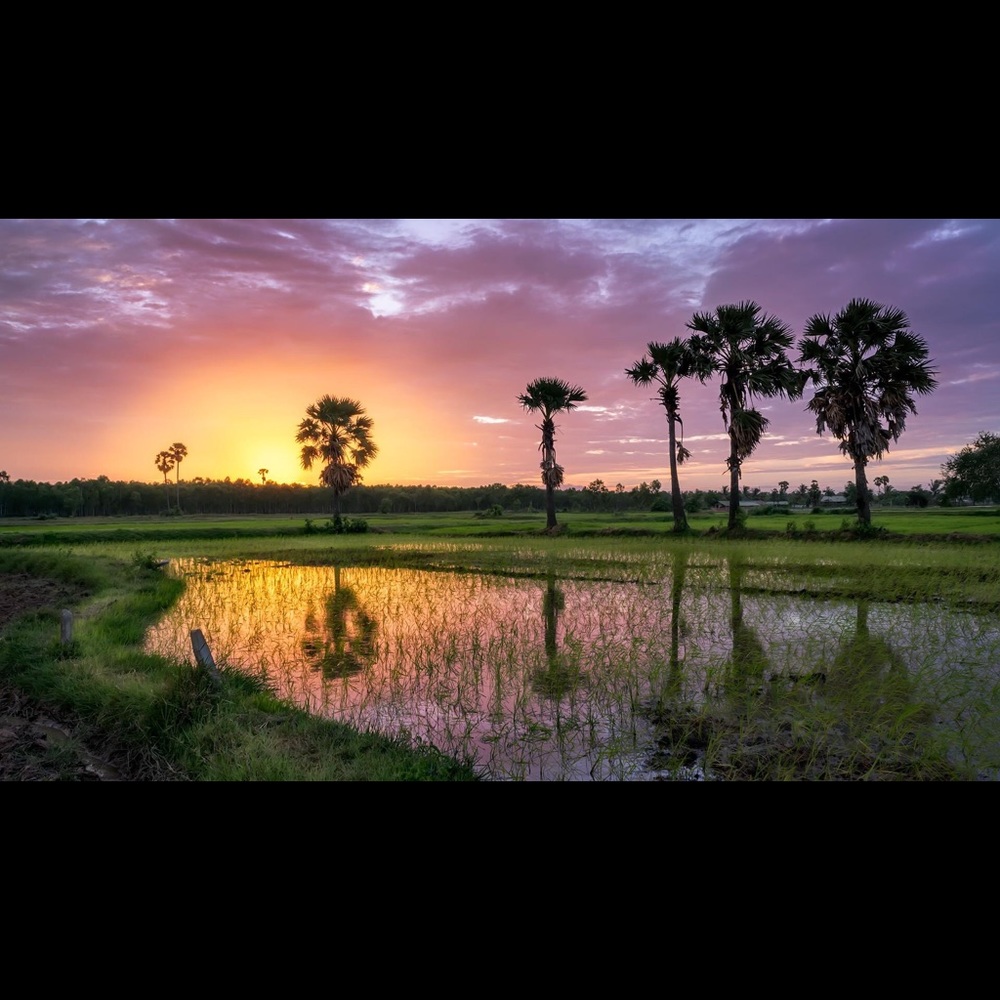 Meet your Posher, Virsna